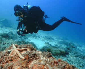 Taucherin in Ausrüstung unter Wasser mit Seestern