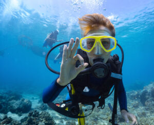 Diver